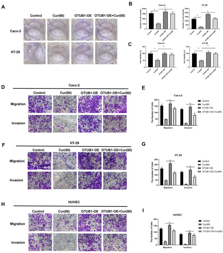 https://cdn.ncbi.nlm.nih.gov/pmc/blobs/3167/12112734/4eda057028dc/ijms-26-04899-g005.jpg