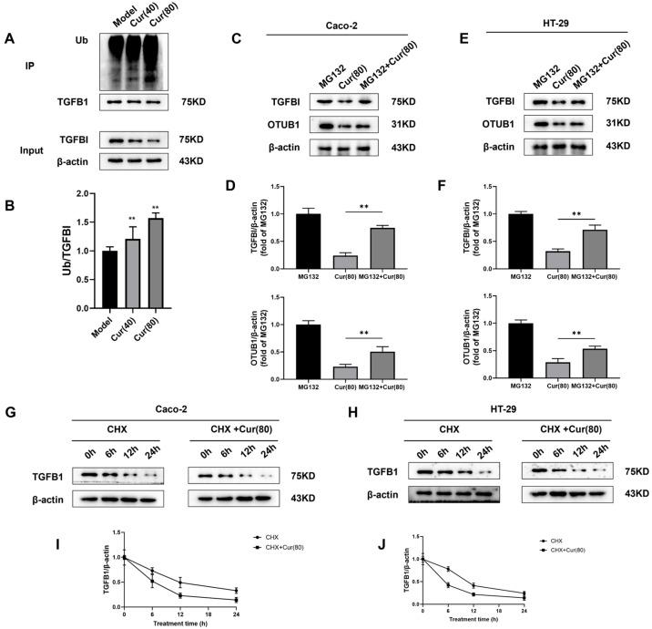 https://cdn.ncbi.nlm.nih.gov/pmc/blobs/3167/12112734/ef65991a8643/ijms-26-04899-g007.jpg