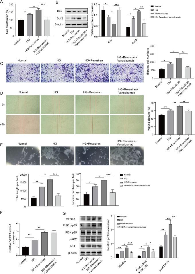 https://cdn.ncbi.nlm.nih.gov/pmc/blobs/3168/10833055/43ec5735e4fe/iovs-65-1-45-f002.jpg