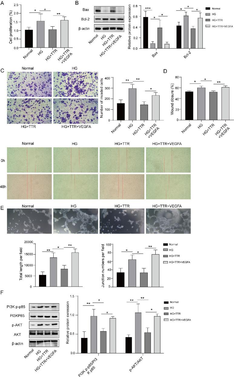https://cdn.ncbi.nlm.nih.gov/pmc/blobs/3168/10833055/a6908cf064e6/iovs-65-1-45-f003.jpg