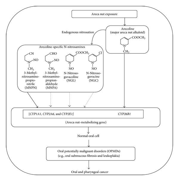 https://cdn.ncbi.nlm.nih.gov/pmc/blobs/3168/3747400/fd387f17cd78/TSWJ2013-618032.001.jpg