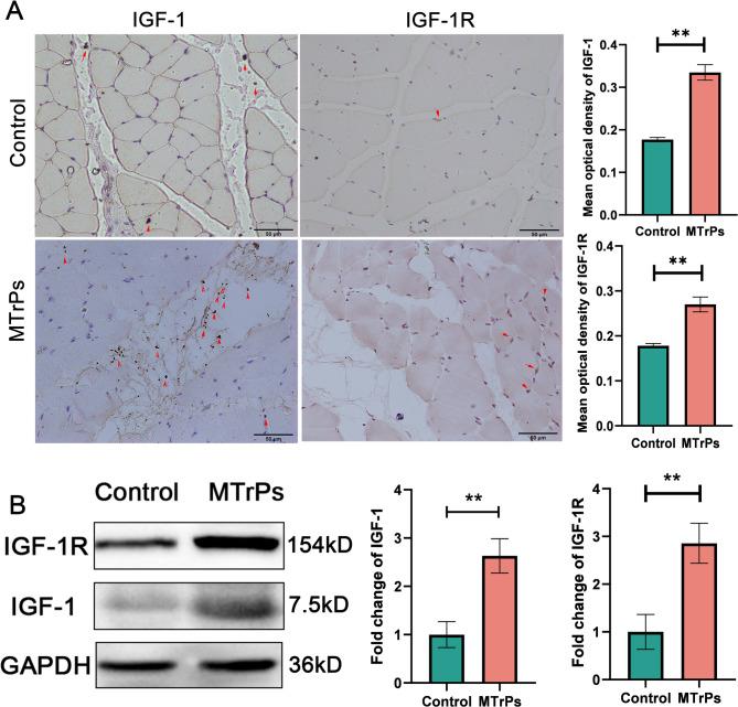 https://cdn.ncbi.nlm.nih.gov/pmc/blobs/3169/12334774/14c9a25ba7bf/41598_2025_12552_Fig2_HTML.jpg