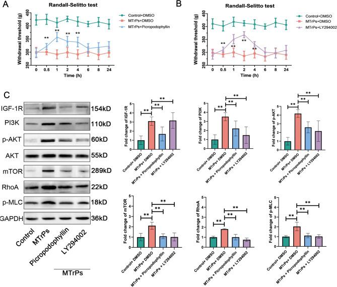 https://cdn.ncbi.nlm.nih.gov/pmc/blobs/3169/12334774/396cdf09422b/41598_2025_12552_Fig3_HTML.jpg