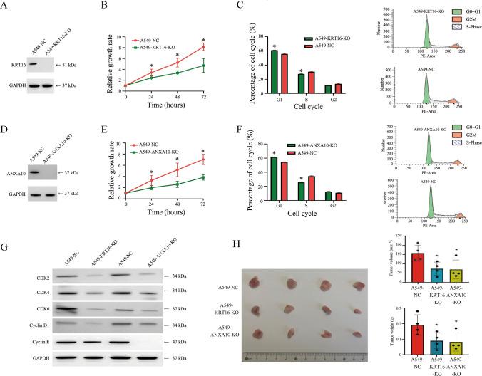 https://cdn.ncbi.nlm.nih.gov/pmc/blobs/316c/11754560/95880f110b58/12672_2024_1707_Fig5_HTML.jpg