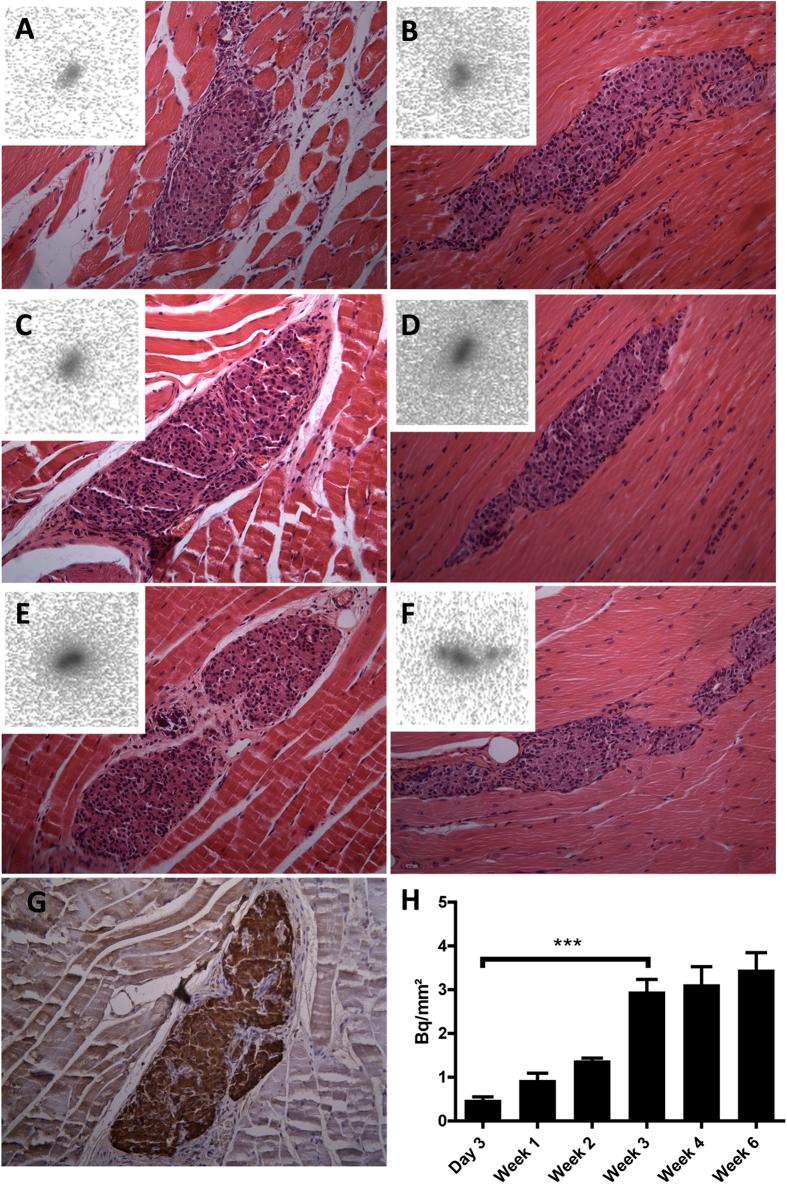https://cdn.ncbi.nlm.nih.gov/pmc/blobs/316c/4614800/2a883d624886/srep15521-f2.jpg