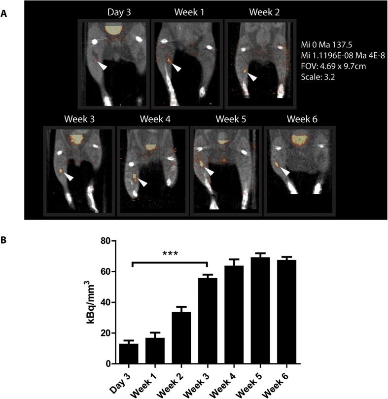 https://cdn.ncbi.nlm.nih.gov/pmc/blobs/316c/4614800/ad6dfe9b00fb/srep15521-f5.jpg