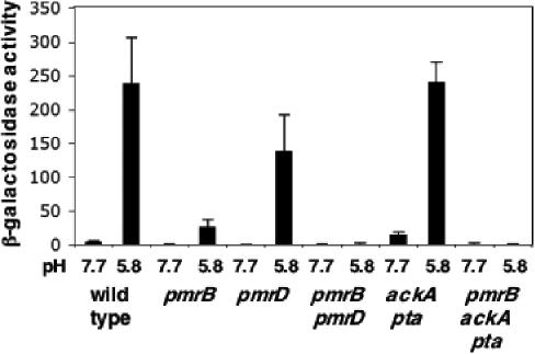 https://cdn.ncbi.nlm.nih.gov/pmc/blobs/316e/1804205/8309a1ba2be2/mmi0063-0283-f3.jpg