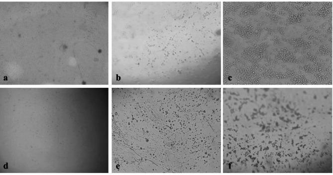https://cdn.ncbi.nlm.nih.gov/pmc/blobs/316f/12012204/be1f6d7083f0/41598_2025_95899_Fig10_HTML.jpg