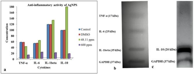 https://cdn.ncbi.nlm.nih.gov/pmc/blobs/316f/12012204/e91903952179/41598_2025_95899_Fig12_HTML.jpg