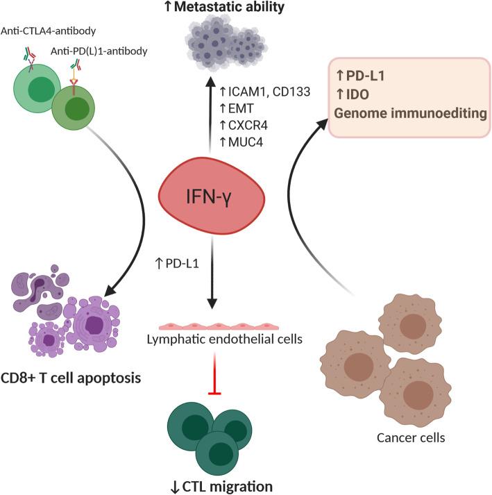 https://cdn.ncbi.nlm.nih.gov/pmc/blobs/3171/7526126/b7cfb3960c24/40364_2020_228_Fig5_HTML.jpg