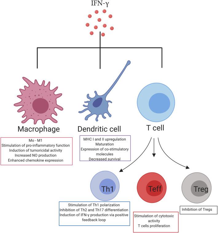https://cdn.ncbi.nlm.nih.gov/pmc/blobs/3171/7526126/fd49924dd23a/40364_2020_228_Fig2_HTML.jpg