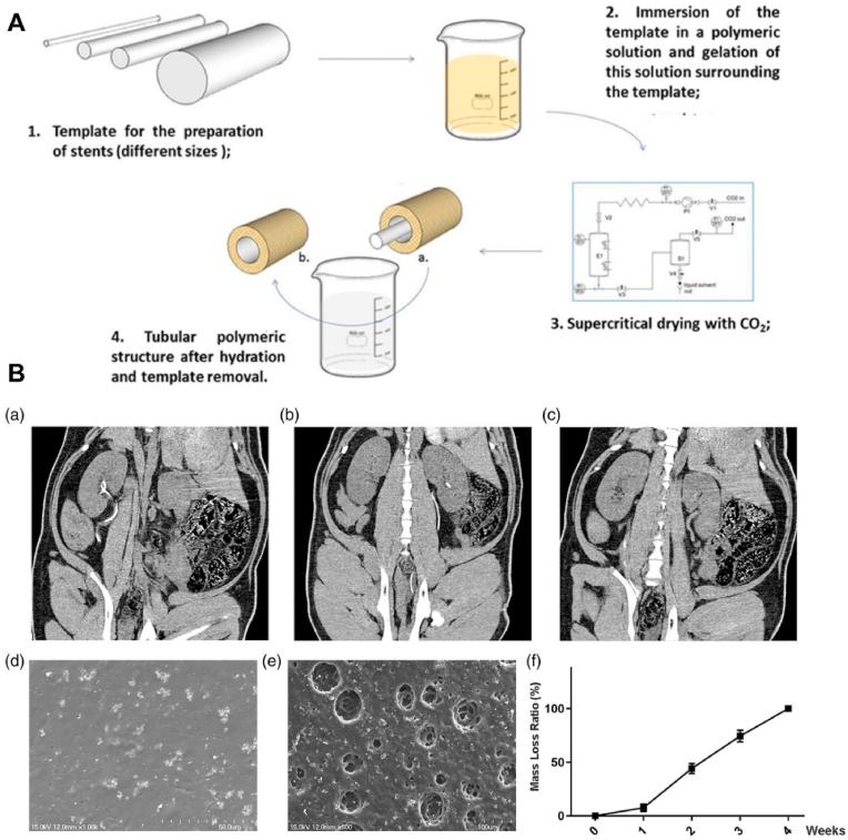 https://cdn.ncbi.nlm.nih.gov/pmc/blobs/3172/9474921/00815b8b09ff/gr8.jpg