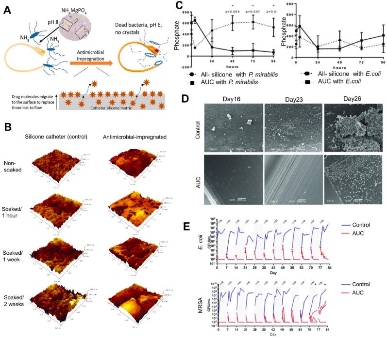 https://cdn.ncbi.nlm.nih.gov/pmc/blobs/3172/9474921/0576d9d545f1/gr1.jpg