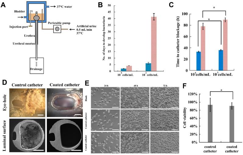 https://cdn.ncbi.nlm.nih.gov/pmc/blobs/3172/9474921/1e342d613f0f/gr2.jpg
