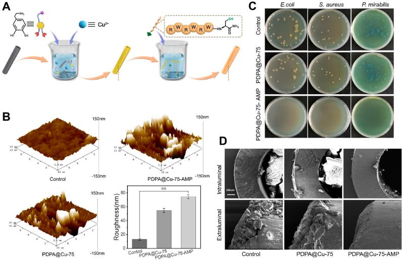 https://cdn.ncbi.nlm.nih.gov/pmc/blobs/3172/9474921/5cd7e48031e4/gr4.jpg
