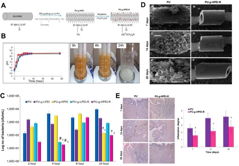 https://cdn.ncbi.nlm.nih.gov/pmc/blobs/3172/9474921/7edb126a727d/gr6.jpg
