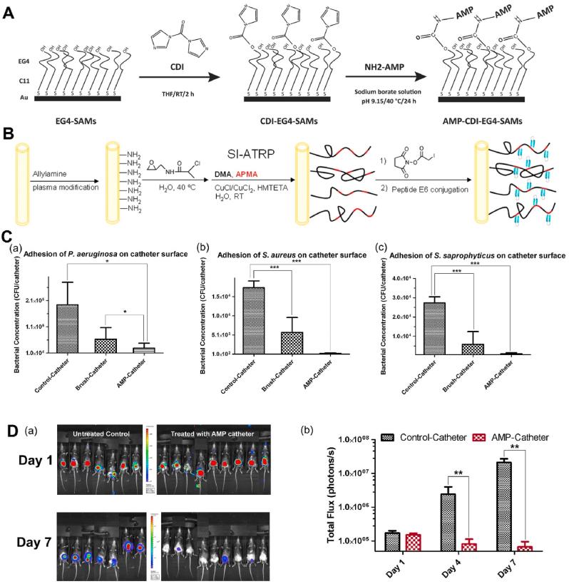 https://cdn.ncbi.nlm.nih.gov/pmc/blobs/3172/9474921/a6bb51ec4916/gr5.jpg