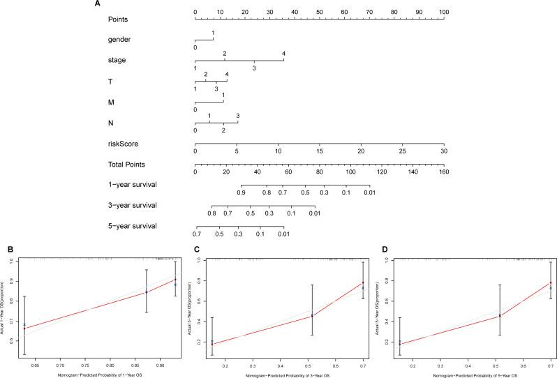 https://cdn.ncbi.nlm.nih.gov/pmc/blobs/3173/11603746/4c7e39426c33/12876_2024_3530_Fig5_HTML.jpg