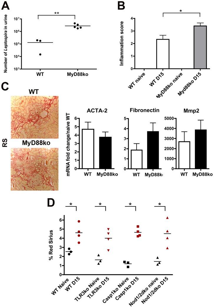 https://cdn.ncbi.nlm.nih.gov/pmc/blobs/3178/3907306/77401fce295f/pntd.0002664.g005.jpg