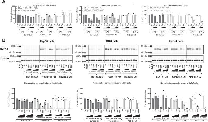 https://cdn.ncbi.nlm.nih.gov/pmc/blobs/317b/10175293/1acf61747e48/41467_2023_38478_Fig2_HTML.jpg