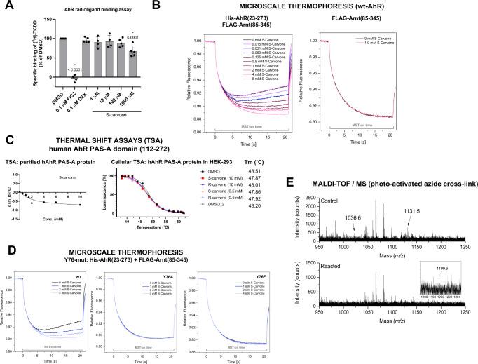 https://cdn.ncbi.nlm.nih.gov/pmc/blobs/317b/10175293/5f9250aa35e3/41467_2023_38478_Fig4_HTML.jpg