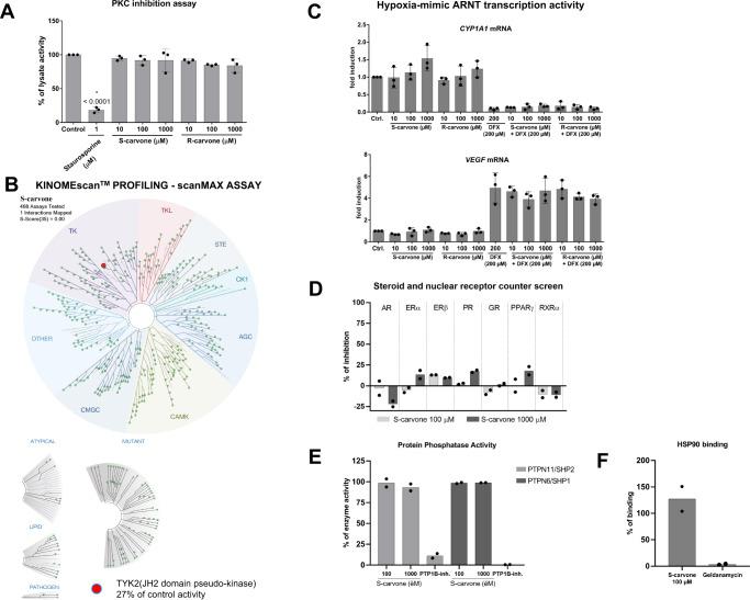 https://cdn.ncbi.nlm.nih.gov/pmc/blobs/317b/10175293/b526e810eb95/41467_2023_38478_Fig5_HTML.jpg