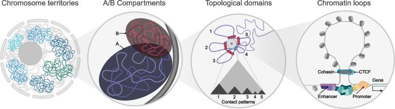 https://cdn.ncbi.nlm.nih.gov/pmc/blobs/317e/11295362/dff6c8f475c3/12943_2024_2069_Fig6_HTML.jpg