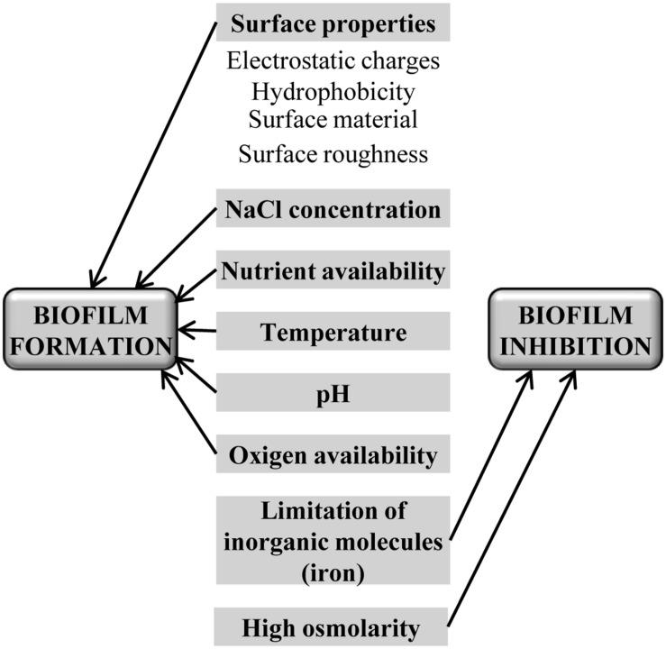 https://cdn.ncbi.nlm.nih.gov/pmc/blobs/317e/4897796/3642c79de2ce/fmicb-07-00825-g002.jpg