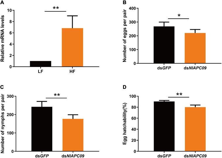 https://cdn.ncbi.nlm.nih.gov/pmc/blobs/317e/8316623/eb475ef5e859/fphys-12-708639-g006.jpg