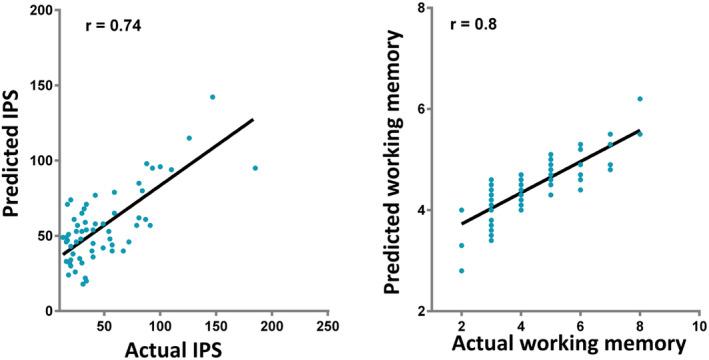 https://cdn.ncbi.nlm.nih.gov/pmc/blobs/317f/7502829/6c9278fda611/HBM-41-4431-g003.jpg