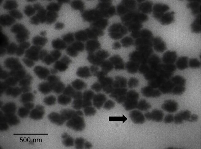 https://cdn.ncbi.nlm.nih.gov/pmc/blobs/3180/6233476/0f779a80cbe5/ijn-13-7363Fig1.jpg