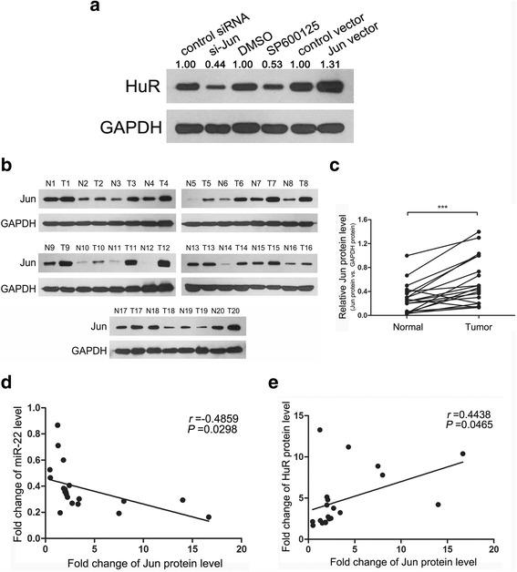 https://cdn.ncbi.nlm.nih.gov/pmc/blobs/3181/5775639/93e5191e205d/12943_2017_751_Fig7_HTML.jpg