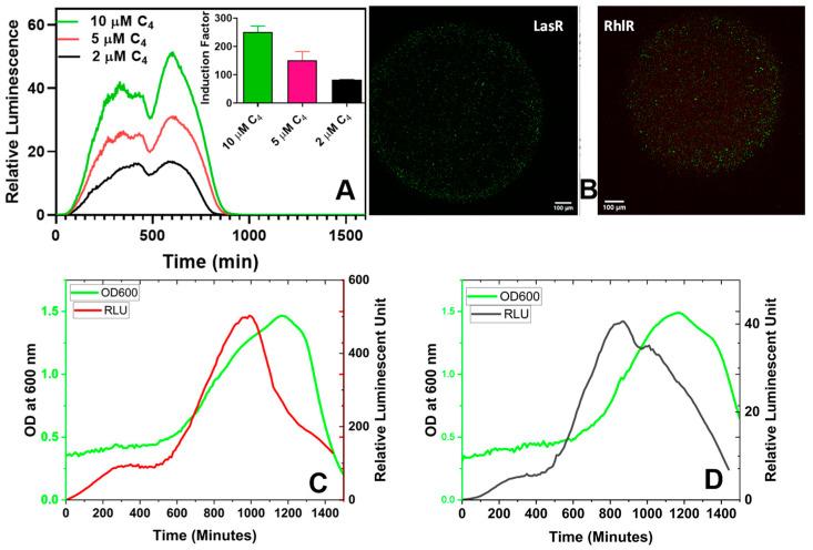 https://cdn.ncbi.nlm.nih.gov/pmc/blobs/3189/11352650/37979e86a238/biosensors-14-00383-g009.jpg