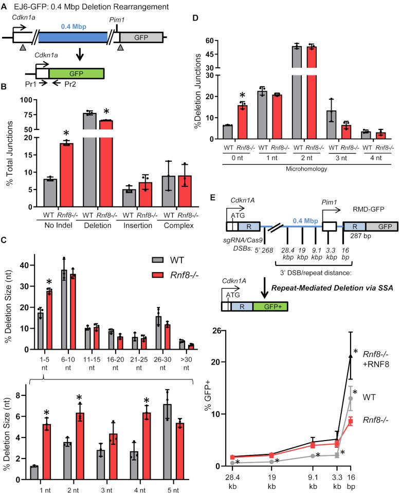https://cdn.ncbi.nlm.nih.gov/pmc/blobs/3189/7293022/88c7d2f5ca1f/gkaa380fig4.jpg