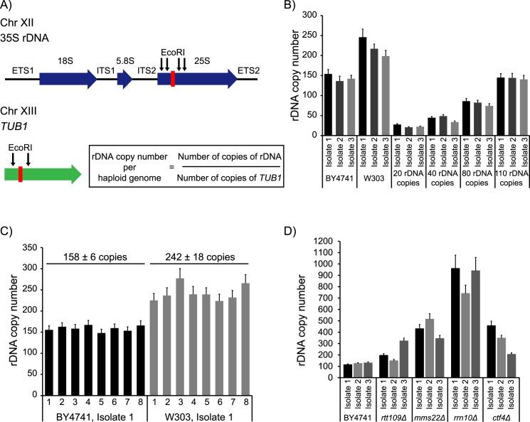 https://cdn.ncbi.nlm.nih.gov/pmc/blobs/318a/5617229/d55787d0d7a9/pgen.1007006.g001.jpg