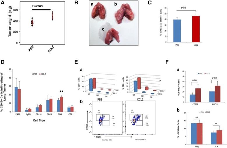 https://cdn.ncbi.nlm.nih.gov/pmc/blobs/318d/5286656/11ff64a517d0/12885_2017_3074_Fig6_HTML.jpg