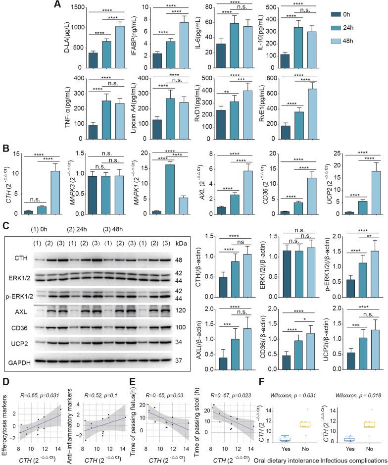 https://cdn.ncbi.nlm.nih.gov/pmc/blobs/318f/9869634/be0046d06a54/12964_2022_1030_Fig8_HTML.jpg