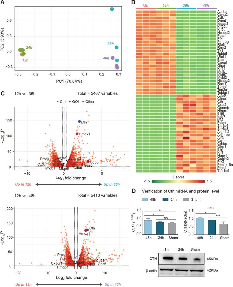 https://cdn.ncbi.nlm.nih.gov/pmc/blobs/318f/9869634/ea44f79d0810/12964_2022_1030_Fig3_HTML.jpg