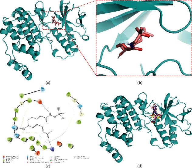 https://cdn.ncbi.nlm.nih.gov/pmc/blobs/3190/8041531/69e906ac4240/ECAM2021-5526132.004.jpg