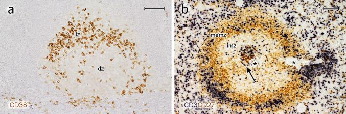 https://cdn.ncbi.nlm.nih.gov/pmc/blobs/3194/7343761/65fe9e12f074/418_2020_1861_Fig8_HTML.jpg