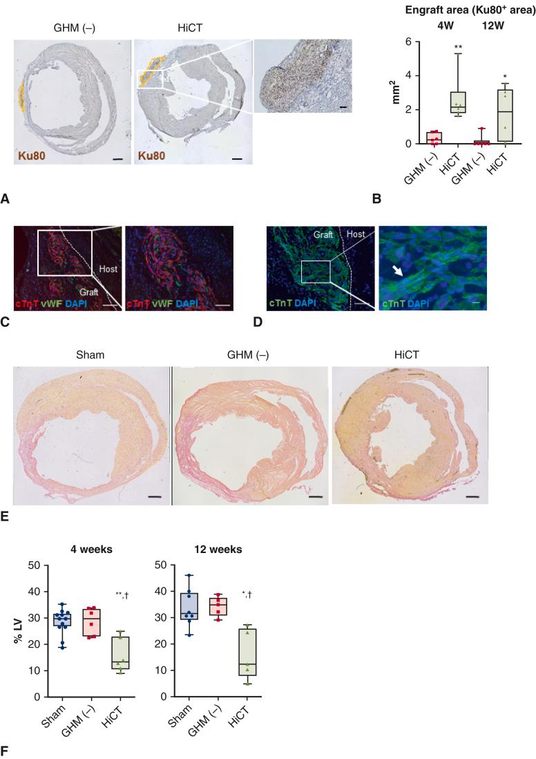 https://cdn.ncbi.nlm.nih.gov/pmc/blobs/3196/9390608/15067feb78fe/gr3.jpg