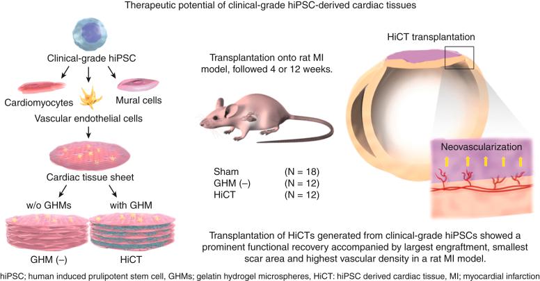 https://cdn.ncbi.nlm.nih.gov/pmc/blobs/3196/9390608/f965f04928ae/gr5.jpg