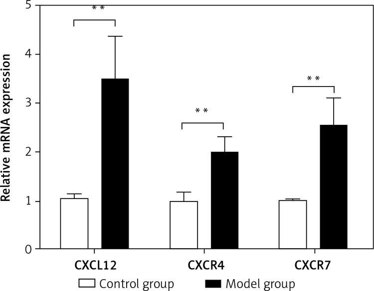 https://cdn.ncbi.nlm.nih.gov/pmc/blobs/3199/10507761/be8ab52c56d7/AMS-19-5-170910-g005.jpg