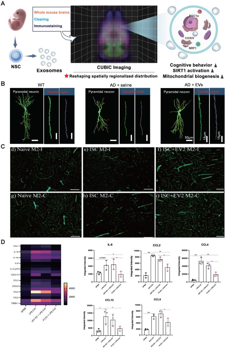 https://cdn.ncbi.nlm.nih.gov/pmc/blobs/319f/11155406/fc364d221501/thnov14p3358g002.jpg