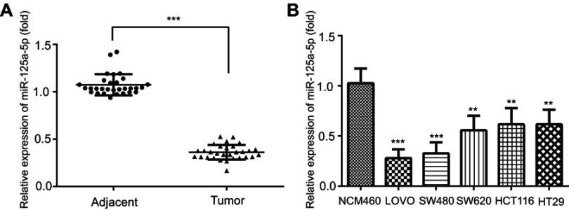 https://cdn.ncbi.nlm.nih.gov/pmc/blobs/319f/6511622/fd28d1f3aaad/OTT-12-3481-g0001.jpg