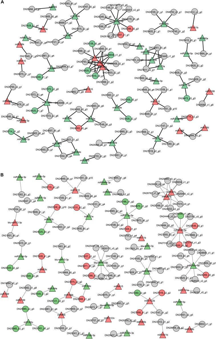 https://cdn.ncbi.nlm.nih.gov/pmc/blobs/31a2/7876418/2896ca528cfd/fgene-12-552454-g006.jpg