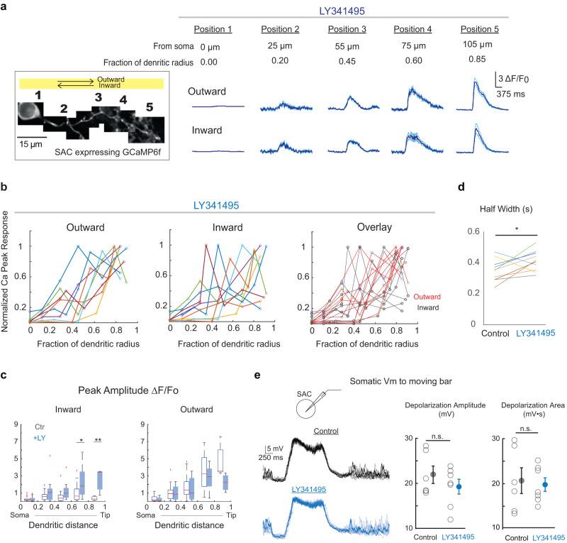 https://cdn.ncbi.nlm.nih.gov/pmc/blobs/31a3/10901804/7e11a3279be1/41467_2024_46234_Fig5_HTML.jpg