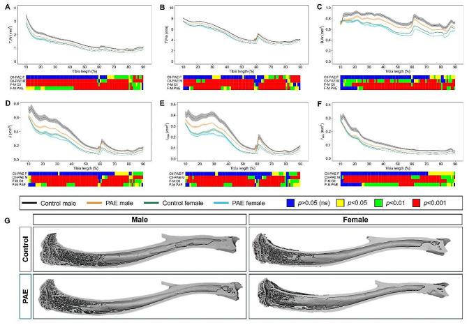 https://cdn.ncbi.nlm.nih.gov/pmc/blobs/31a3/11186175/17363bf05c61/13293_2024_626_Fig4_HTML.jpg
