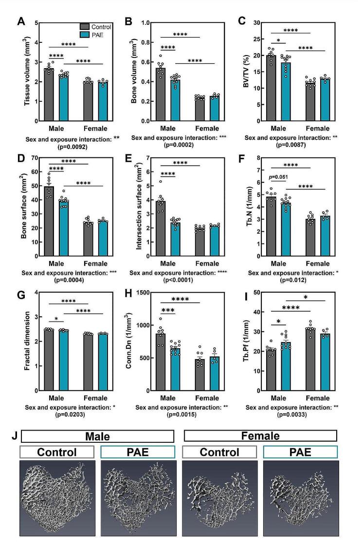 https://cdn.ncbi.nlm.nih.gov/pmc/blobs/31a3/11186175/71e8691edabe/13293_2024_626_Fig3_HTML.jpg