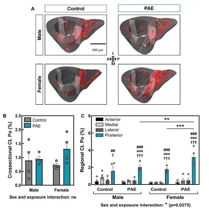 https://cdn.ncbi.nlm.nih.gov/pmc/blobs/31a3/11186175/8af0965235eb/13293_2024_626_Fig5_HTML.jpg